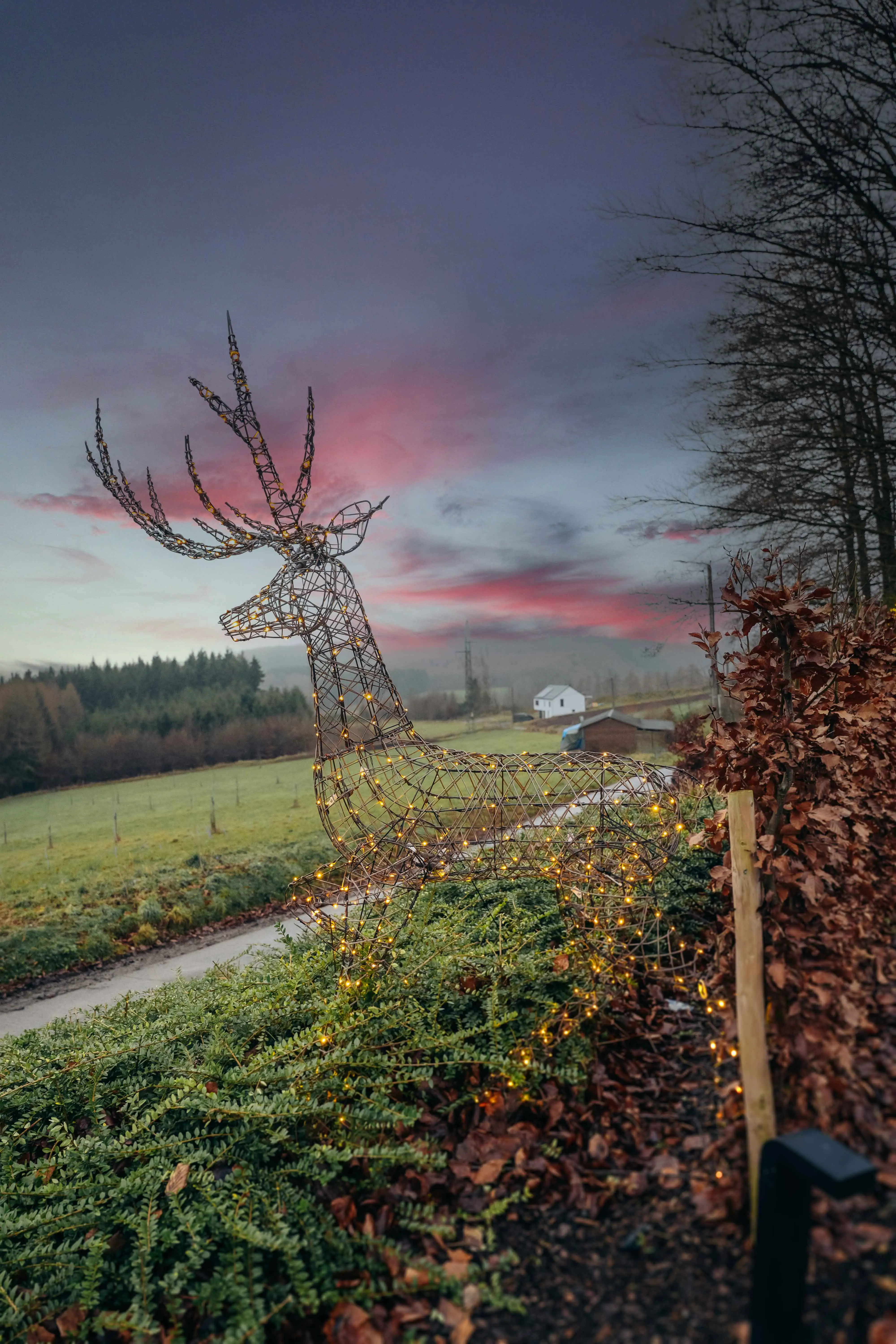Cottage for 10 people in Tenneville Villa Wood
